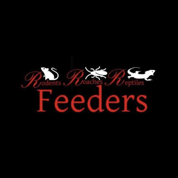 Vendor Logo