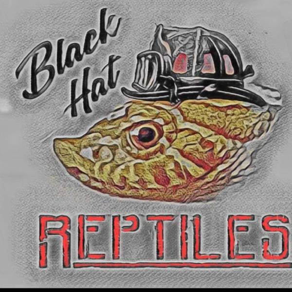 Vendor Logo