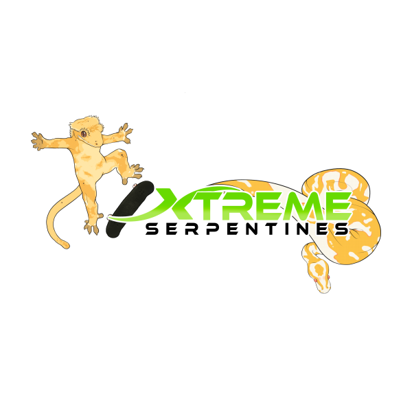 Vendor Logo