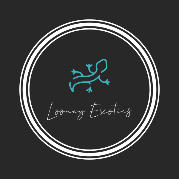 Vendor Logo