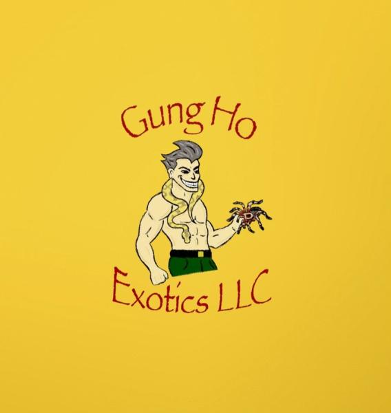 Vendor Logo