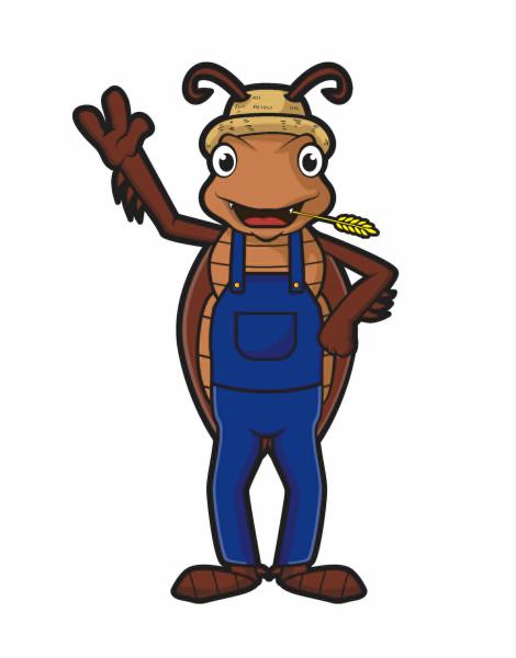 Country Bugz and Feeders Logo