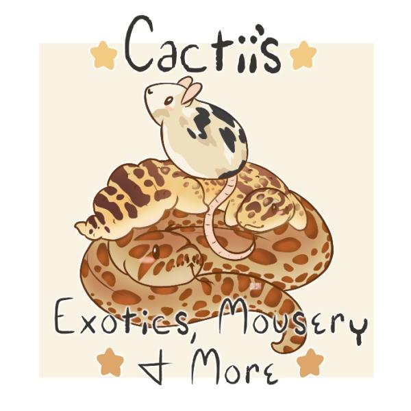 Cactii's Exotics, Mousery & More Logo