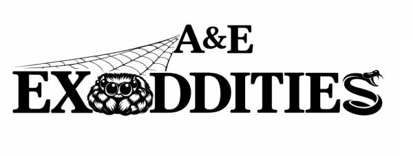 A&E’s Exoddities Logo