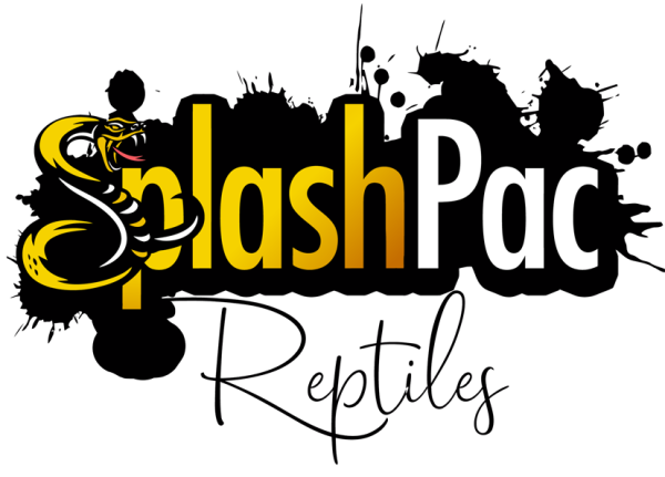 Vendor Logo