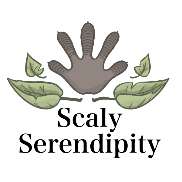 Vendor Logo