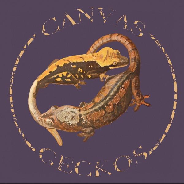 Canvas Geckos Logo