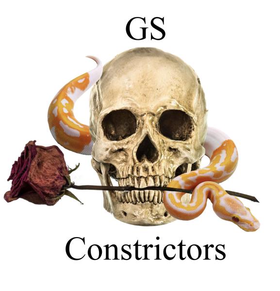 GSCONSTRICTORS  Logo