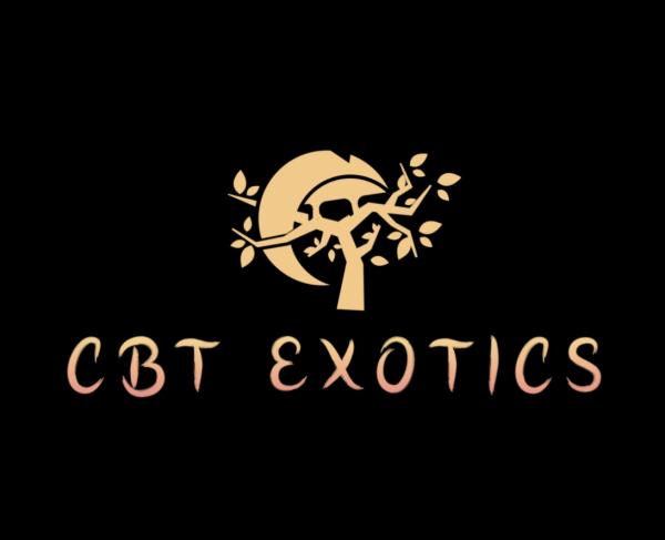 Vendor Logo