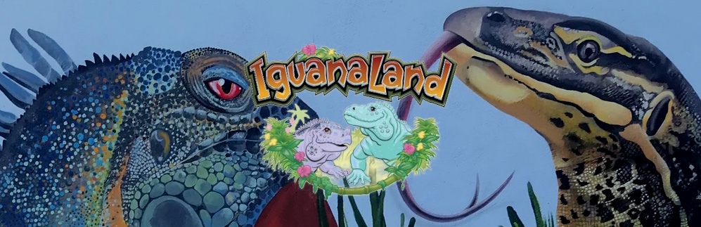 Iguana Land