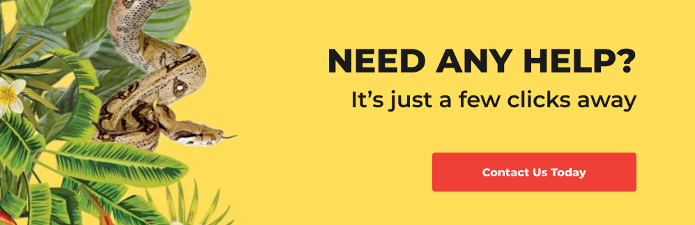 Yellow contact banner