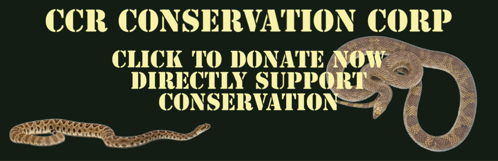 CCR Conservation Corp