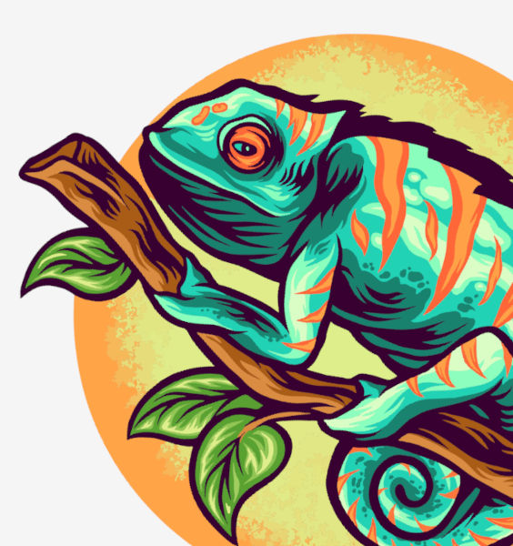 Image of Lizard Drawing