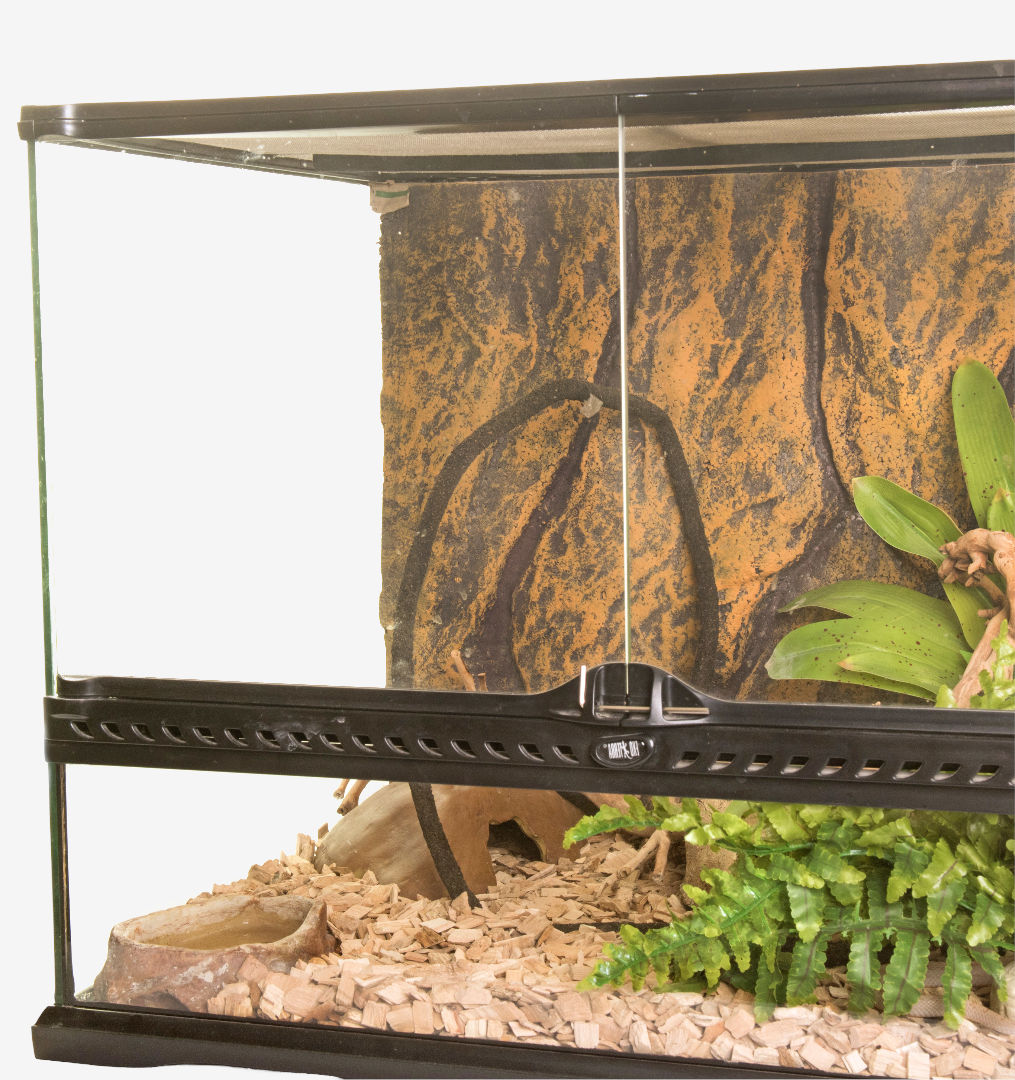 Image of Enclosure