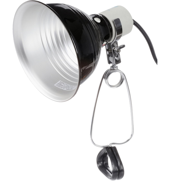 Image of Heat Lamp